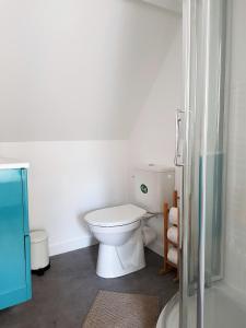 a white bathroom with a toilet and a shower at FleuryBis - Appartement calme proche de Rouen in Déville-lès-Rouen