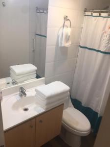 Un baño con lavabo, inodoro y ducha. en Santiago Encomenderos el Golf, en Santiago