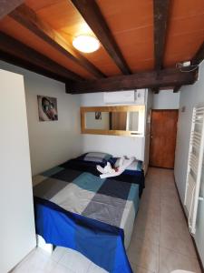 1 dormitorio pequeño con 1 cama en una habitación en Piccola Stella, en Parma