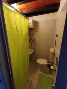 baño con aseo y cortina de ducha verde en Piccola Stella, en Parma