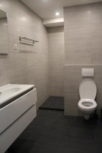 a bathroom with a toilet and a sink at Landzicht in Woubrugge +11 photos