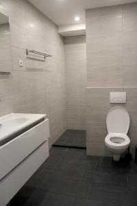 a white bathroom with a toilet and a sink at Landzicht in Woubrugge