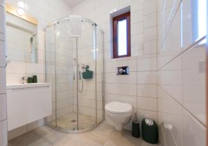 un bagno con wc e doccia in vetro di Cudne Manowce a Wisła Altre 37 foto