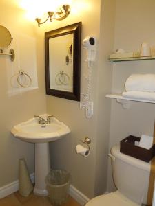 a bathroom with a sink and a toilet and a mirror at Motel Derfal in Repentigny