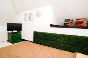 TV a/nebo společenská místnost v ubytování St. Gellért Square - Minilux Apartman