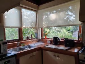 cocina con 2 ventanas y fregadero en Cabaña Modern Family, en Villa La Angostura