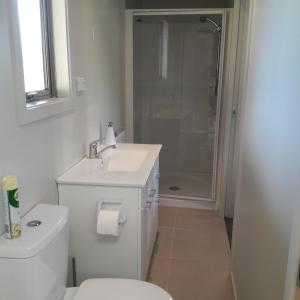 a bathroom with a toilet and a sink and a shower at Dunstan Road B&B in Alexandra