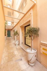 a hallway with two potted trees in a building at Hôtel Traverse Des Artistes in Cannes +99 photos