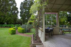 a porch with a table and a tree on it at Tairoa Lodge in Hawera