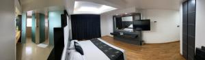 Gallery image of Hotel Ibiza Plaza in Mexico City