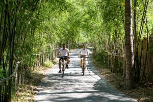 Biking at or in the surroundings of Alba Wellness Resort By Fusion