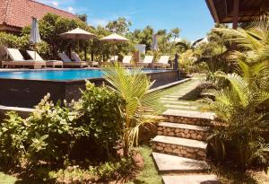 a backyard with a swimming pool and chairs and plants at Gedong Nusa Huts in Nusa Lembongan