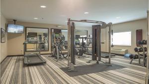 Fitness centar i/ili fitness sadržaji u objektu Candlewood Suites - Nashville - Franklin, an IHG Hotel
