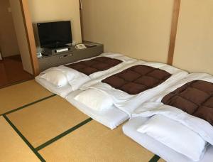 a large bed in a room with a tv at Hotel Seagull Tenpozan Osaka in Osaka