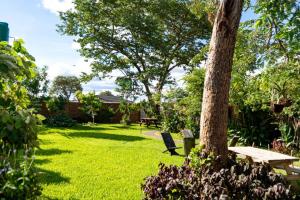 a garden with a picnic table and a tree at KhayaLethu Vic Falls in Victoria Falls