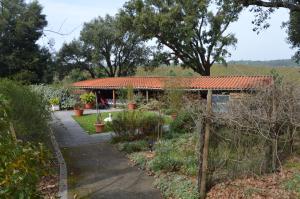 ogród z domem z pomarańczowym dachem w obiekcie Vivenda A Nossa Coroa w mieście Coja