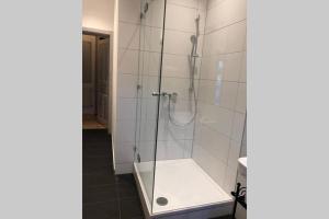 W łazience znajduje się prysznic ze szklanymi drzwiami. w obiekcie Premium Apartment in Altstadtnähe w Grazu