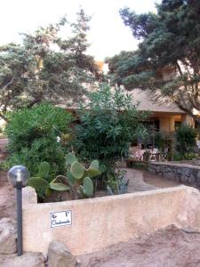 un jardín con plantas y una pared de piedra en Casa Baia, en Capo Testa