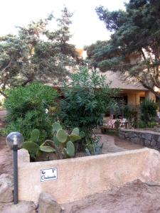 Zahrada ubytování Casa Baia