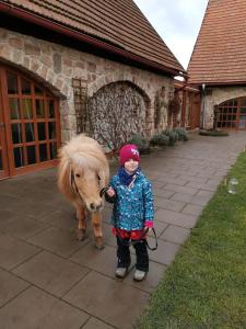 a little girl standing next to a brown horse at Penzion Jízdárna Hejtmánkovice in Broumov