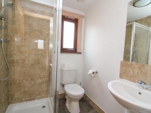 a bathroom with a toilet and a sink and a shower at Mountain View in Rhayader