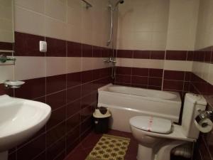a bathroom with a white toilet and a sink at Grand Monastery Apart-Hotel in Pamporovo