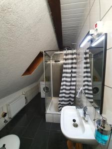 a bathroom with a sink and a toilet and a mirror at Dachgeschosswohnung in Neumünster 2 Zimmer in Neumünster