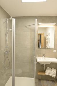 een badkamer met een douche en een wastafel bij Hostel & Pension Alte Brauerei in Eisenach