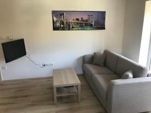 uma sala de estar com um sofá e uma televisão em Apartmán Horní Lipová em Ober Lindewiese