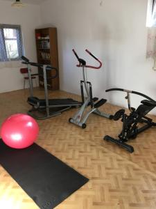 una habitación con tres bicicletas estáticas y una bola roja en Forest Villa, en Susiec