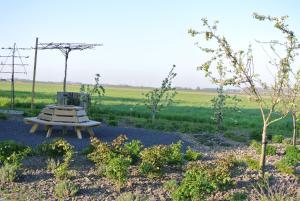einen Picknicktisch in der Mitte eines Feldes in der Unterkunft B&B Bouwmanshoeve in Burgh Haamstede