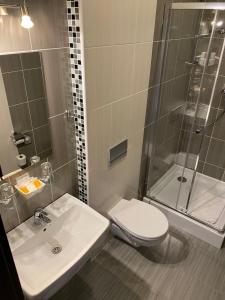 La salle de bains est pourvue d'un lavabo, de toilettes et d'une douche. dans l'établissement Penzión Sport, à Košice