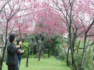 Garður fyrir utan 逢春園Feng Chun Villa