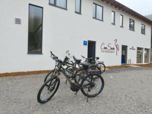 Jízda na kole v ubytování Albergue Casa Sueño nebo okolí