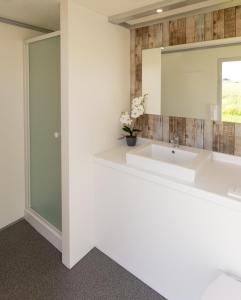 La salle de bains est pourvue d'un lavabo et d'un miroir. dans l'établissement Helshovens wijnvat, à Looz