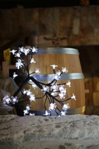 SilistraにあるАкациитеのギャラリーの写真