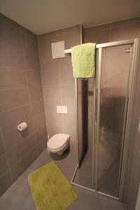 uma casa de banho com um chuveiro, um WC e um lavatório. em Sonnenplatzl-adults only em Fulpmes