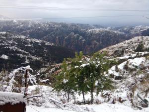 Gallery image of The Chalets Naldehra in Shimla