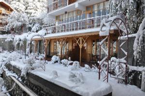 The Chalets Naldehra v zimě