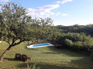 a swimming pool in a yard with a tree at Cabaña Sol de Campo in La Granja