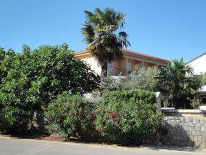 a house with a palm tree and some bushes at Apartments Nevenka K. in Čižići