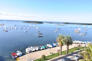 un montón de barcos en el agua cerca de un puerto en Hotel Falli en Porto Cesareo