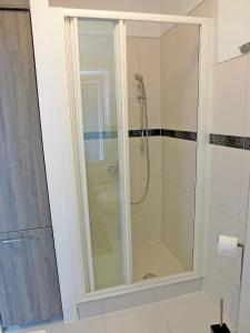 y baño con ducha y puerta de cristal. en Apartment Franc, en Njivice