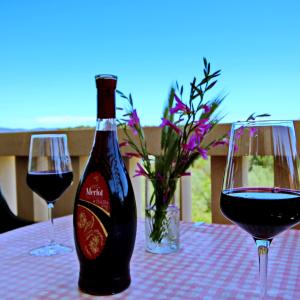 Una botella de vino y dos copas en una mesa en Apartments Veselka, Lumbarda, en Lumbarda