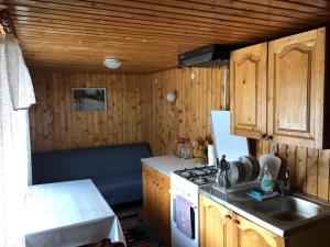 a small kitchen with a sink and a stove at Котедж на Довбуша in Yaremche