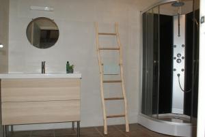 een badkamer met een ladder naast een wastafel en een douche bij It Boat Hûs in Anjum