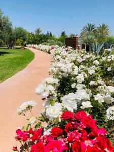 Une bande de fleurs rouges et blanches sur un chemin dans l'établissement Marrakech Retreat By La Siredrah, à Marrakech