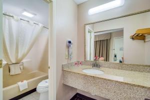 a bathroom with a sink and a toilet and a mirror at Econo Lodge in Walterboro
