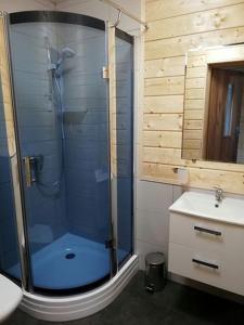 a bathroom with a glass shower with a sink at Domek SERCE KRYNICY in Krynica Morska