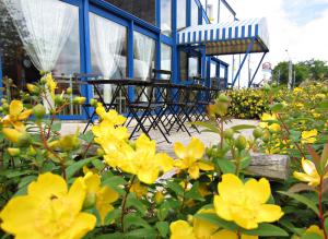 a bunch of yellow flowers in front of a building at Hôtel Noctuel Blois Sud in Saint-Gervais-la-Forêt